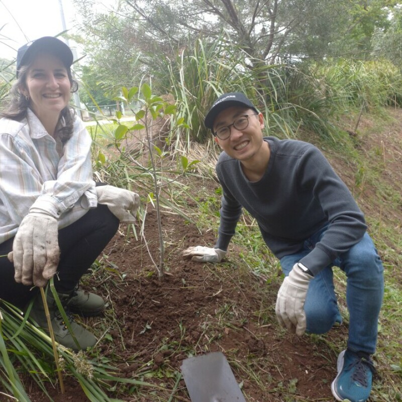 Gallery on Bushcare image 1