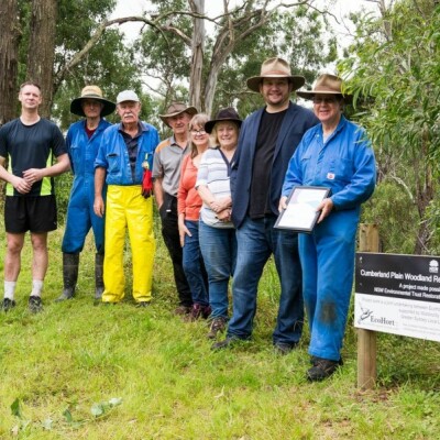 Gallery on Bushcare image 6