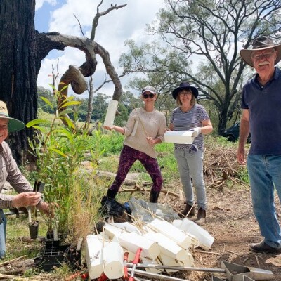 Gallery on Bushcare image 8