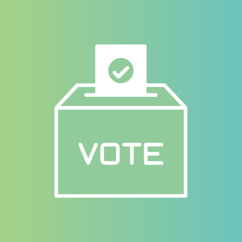 Local Government Elections 2021