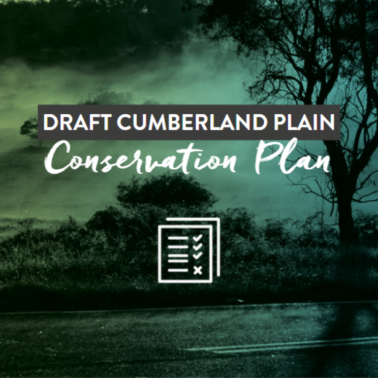 Draft Cumberland Plain Conservation Plan