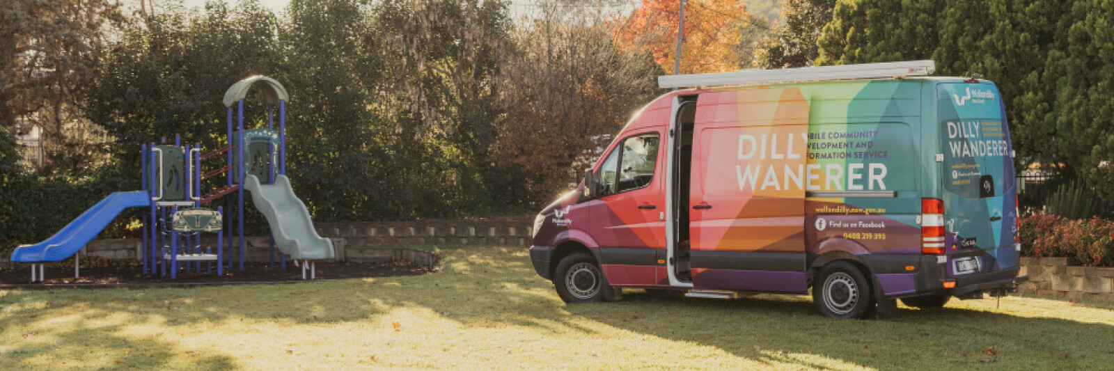 Image of the dilly wanderer