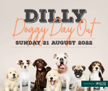Dilly Doggy Day Out 2022