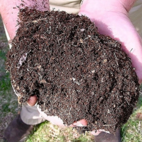 Composting & Worm Farming
