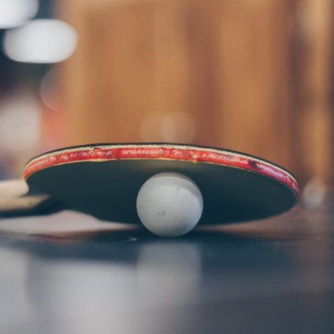 Wollondilly Table Tennis Association 