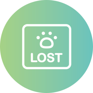 Animals Lost