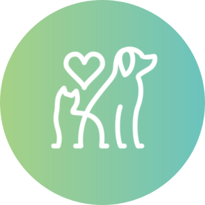 Caring for Your Pet