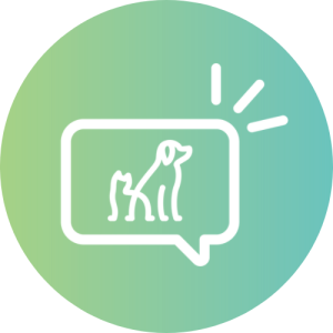 Report a Pet