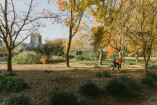 Botanic Garden Bee hives Autumn trees 10