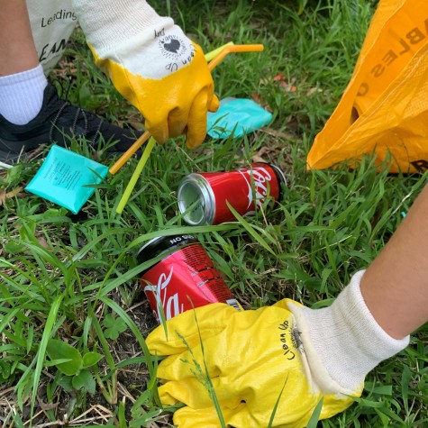 Clean Up Australia Day 
