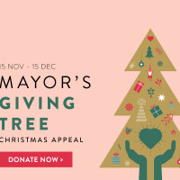 Wollondilly Mayor’s Giving Tree Christmas Appeal to help those doing it tough