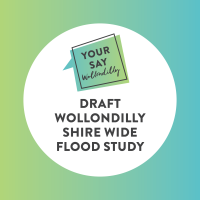 Shire Wide Flood Study: The Oaks drop-in session
