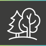 Trees icon graphic